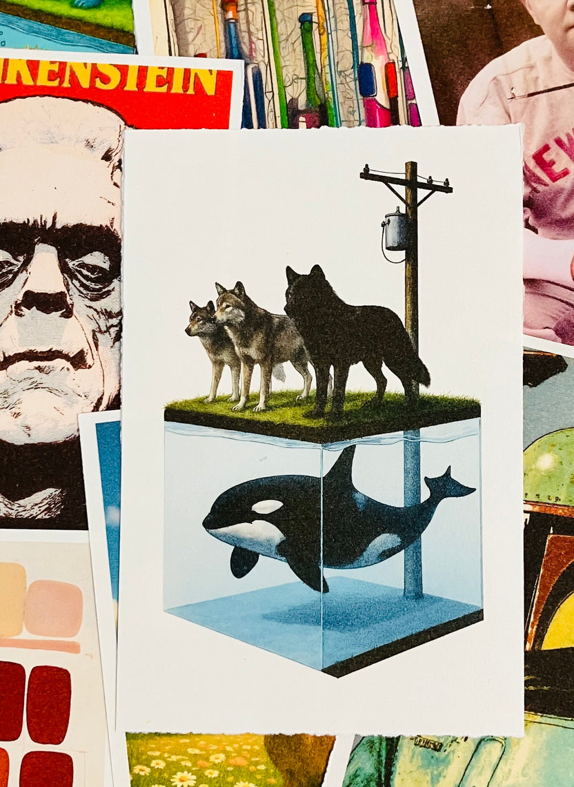 ACEO Collecting Guide: Invest in 1/1 Slabbed Art Cards 2026 – MrCleverArt