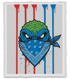 Godzilla Turtles Powers Pop Art Bandidos Collection